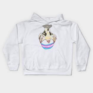 Trans Pride Vitiligo Bat Trans Pride Flag Kids Hoodie